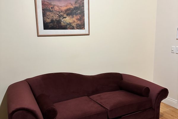 Meredith sofa bed delivered and positioned with white-glove care