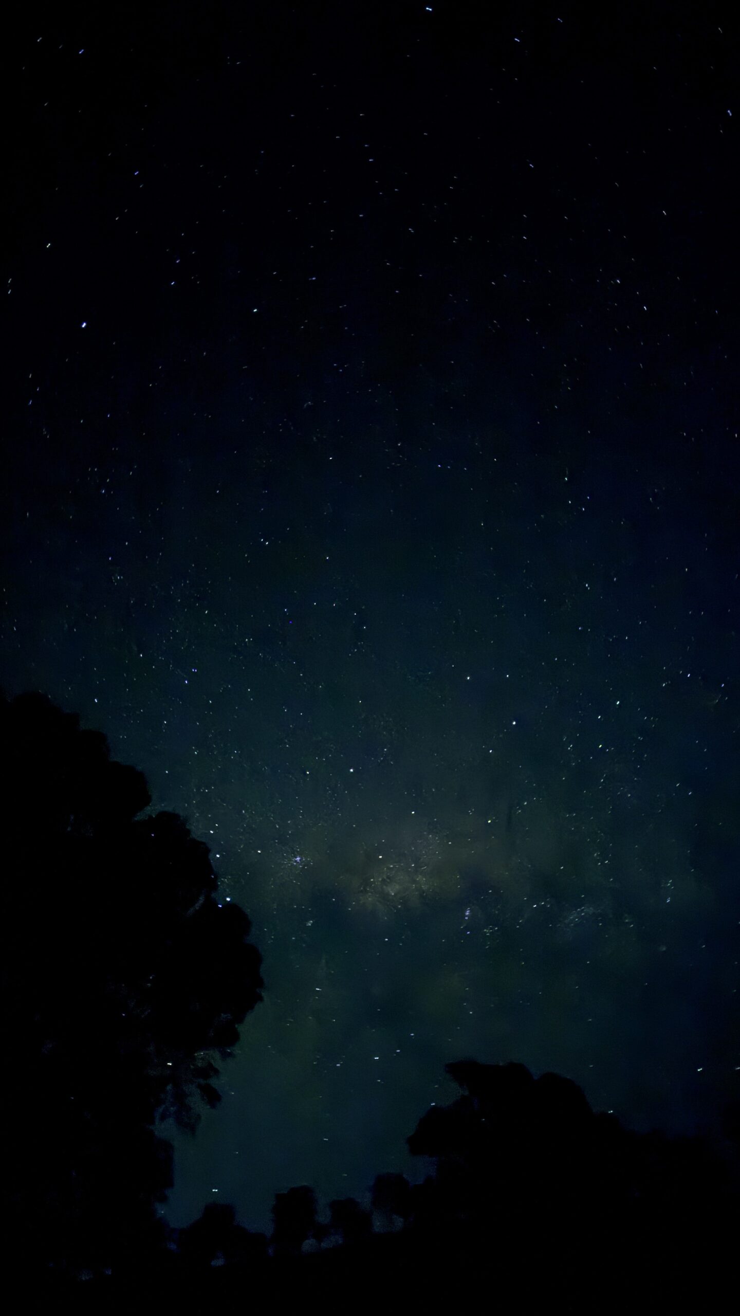 Stars and the Milky Way above dark trees at Woomargama.