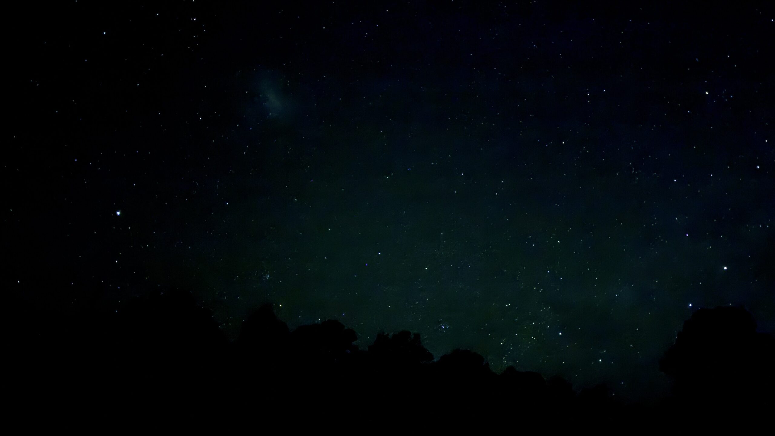 Starry night sky above silhouetted trees at Woomargama.